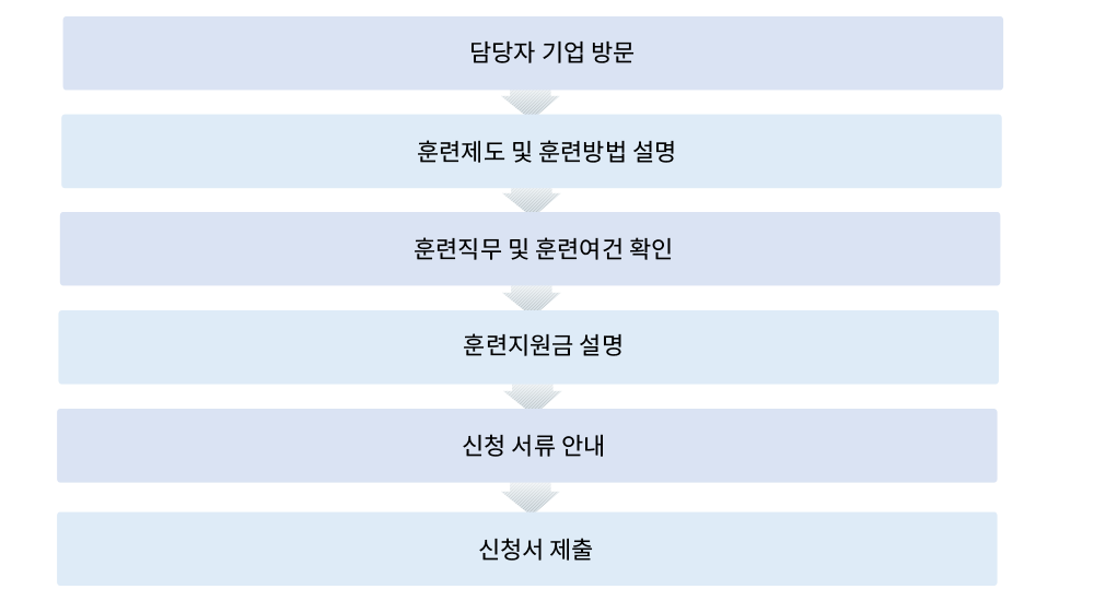 IT분야 직무역량체계